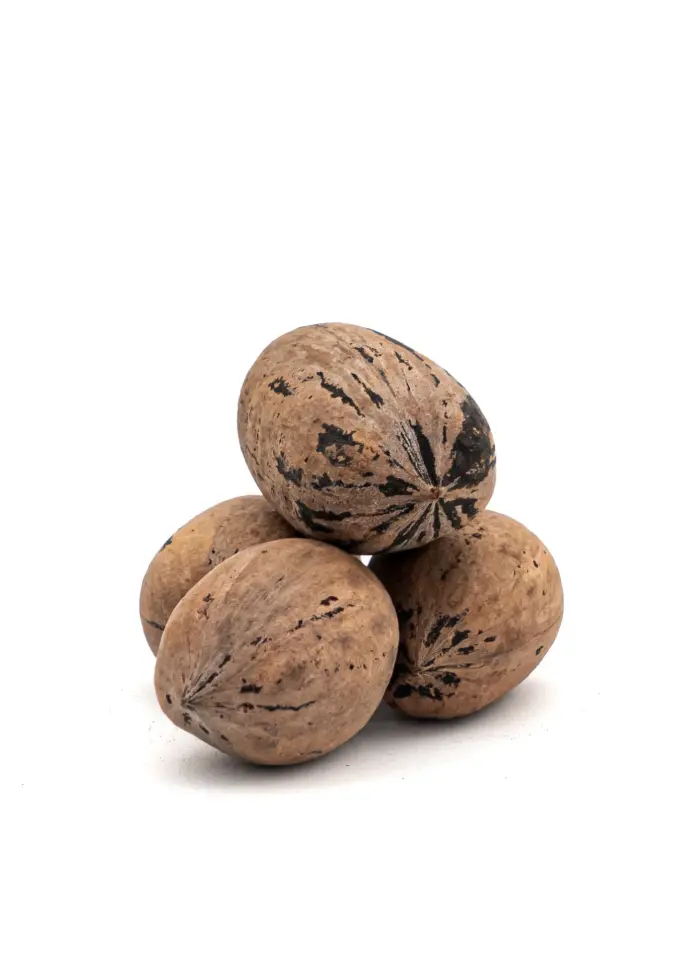 Noci pecan 